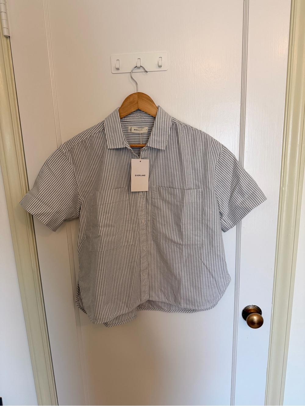 Everlane Striped Short-Sleeve Button-Up